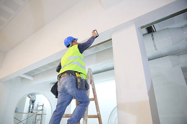 Detroit Beach, MI Mold Removal Company